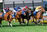 Lankan Rupee - Photo by Sarah Ebbett