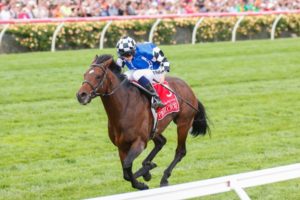 Protectionist - Melbourne Cup 2014