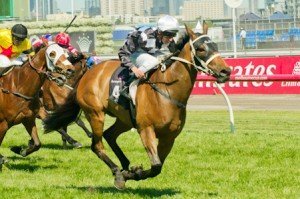 Flemington Raceday