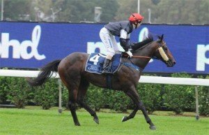 Written Consent will be looking to get a ballot exempt entry into the Golden Slipper with a win in Saturday's Skyline Stakes - Photo by Steve Hart