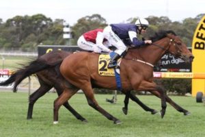 zipping-out-of-australian-cup | Just Horse Racing Zipping will miss Saturday's Australian Cup - Photo by Steve Hart